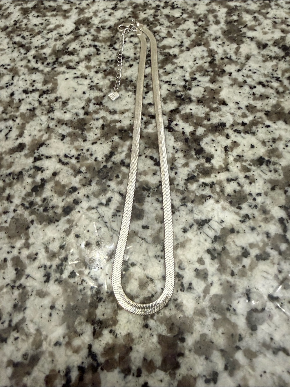 Banana Republic Flat Herringbone Chain Necklace - Women Jewelry